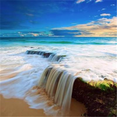 半岛官方APP入口下载手机版