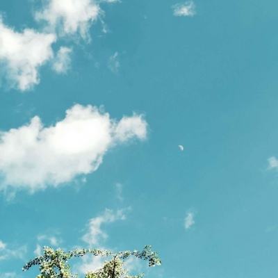 B体育·(sports)官方网站手机app下载